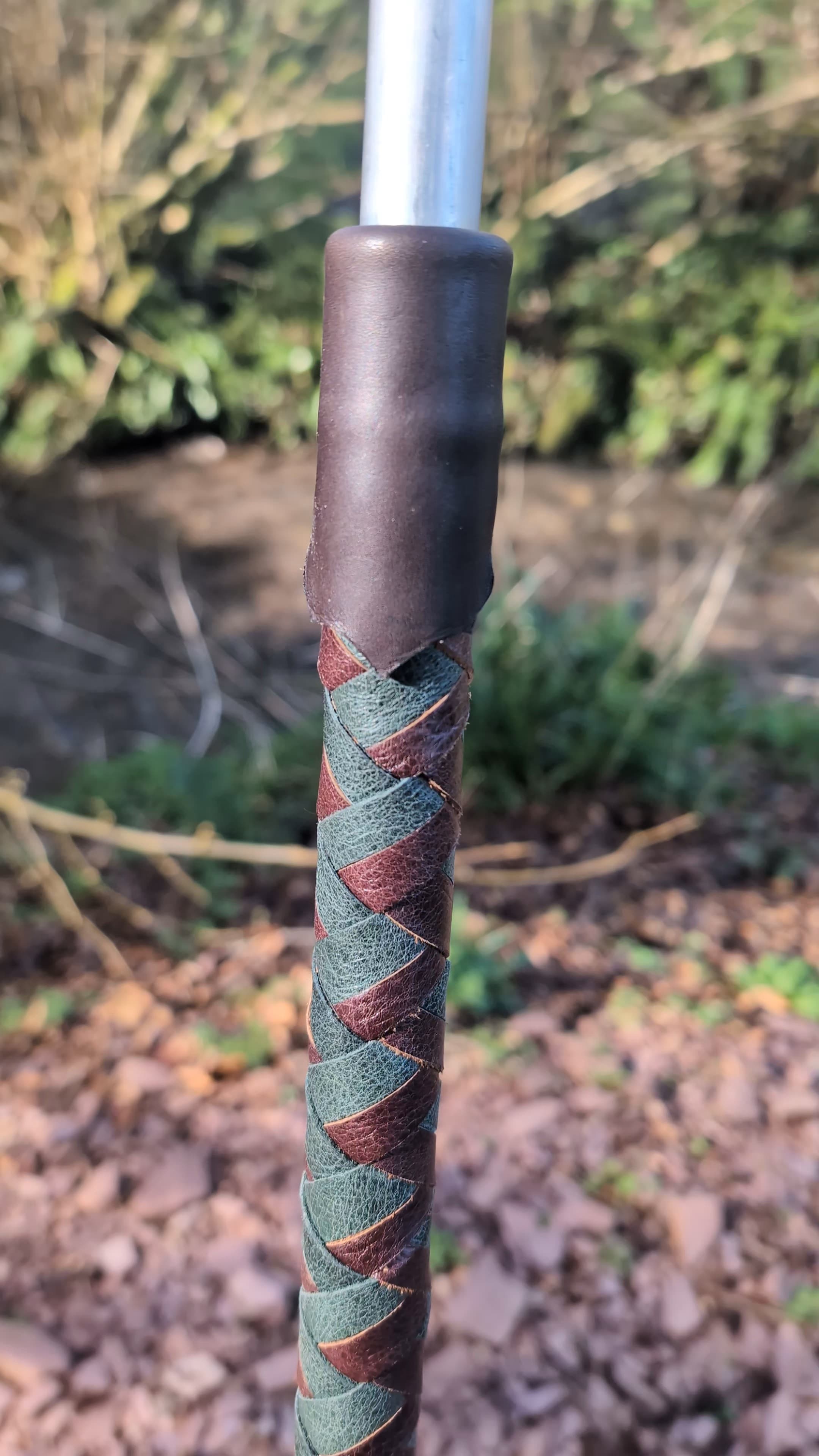 The Crow's Staff view 2